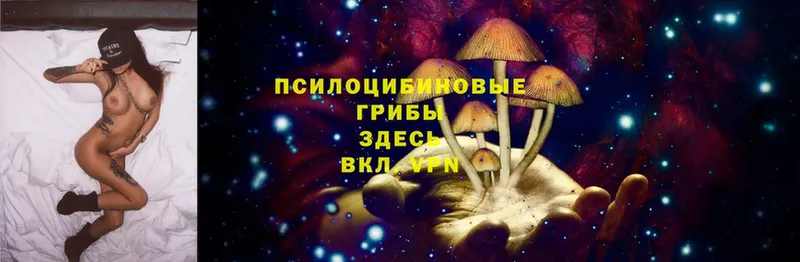 Псилоцибиновые грибы Psilocybe  магазин    Безенчук 